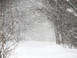 Предупреждение о неблагоприятных и опасном метеорологических явлениях погоды