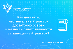 Как доказать, что земельный участок достаточно освоен и не нести ответственности за запущенный участок?